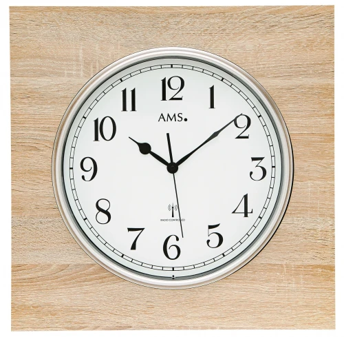 AMS Falióra, Funkuhr család, 218695