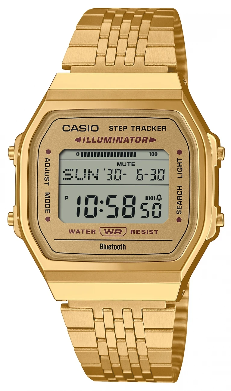 CASIO , Férfi, CASIO Vintage család, 255781