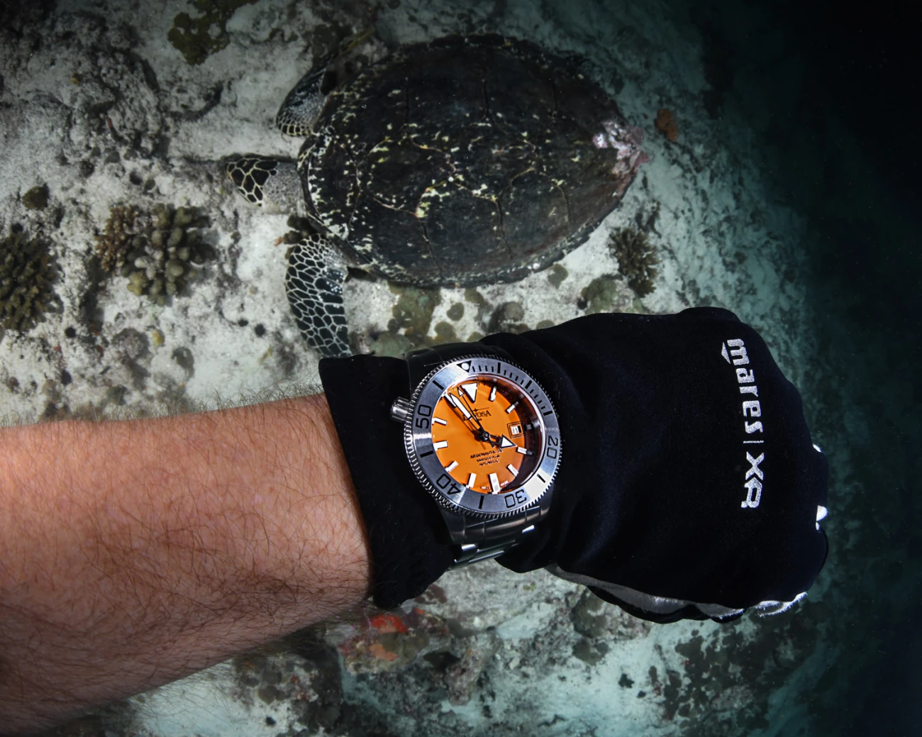 DAVOSA , Férfi, Diving család, 235748