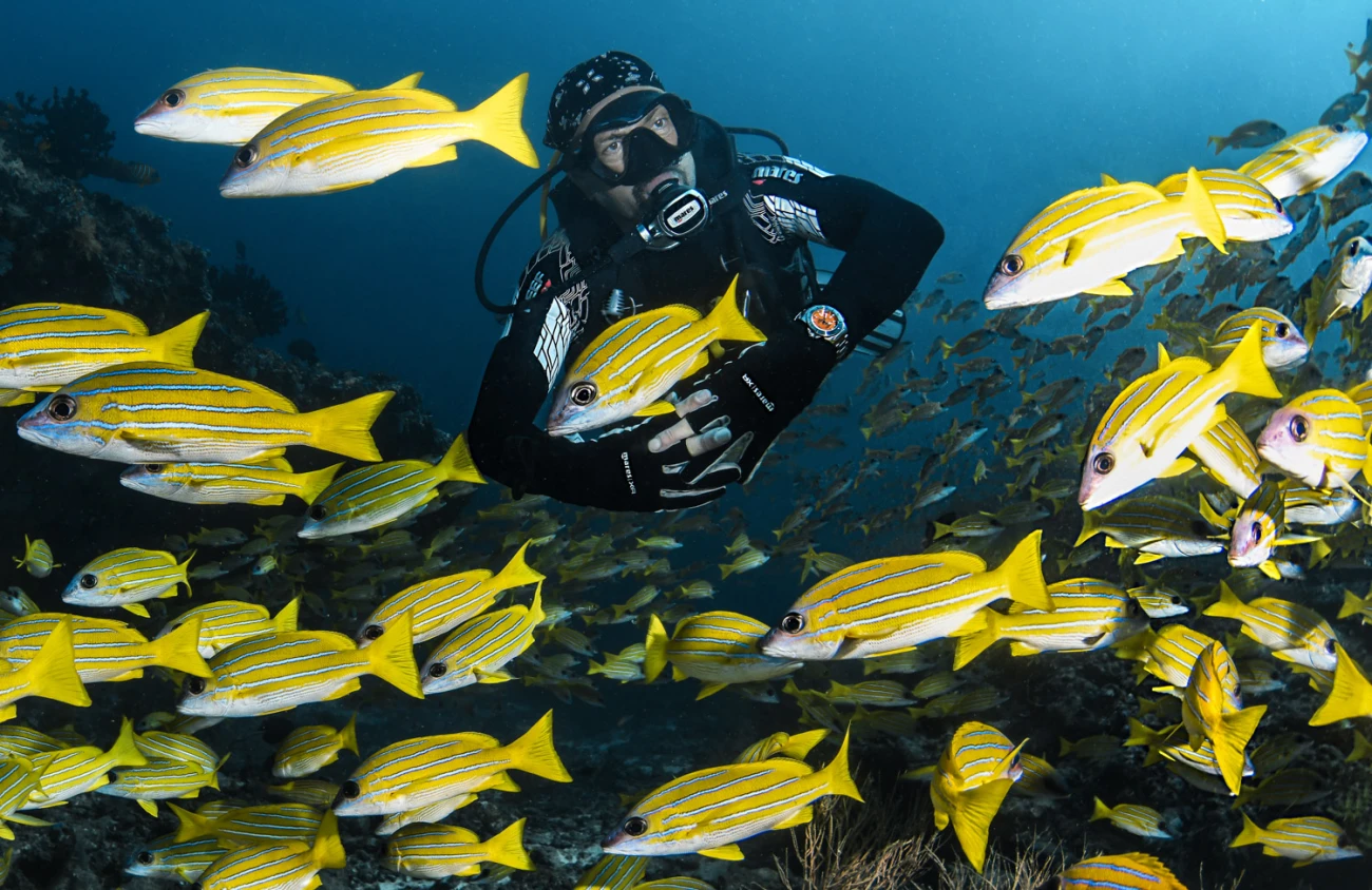 DAVOSA , Férfi, Diving család, 235748