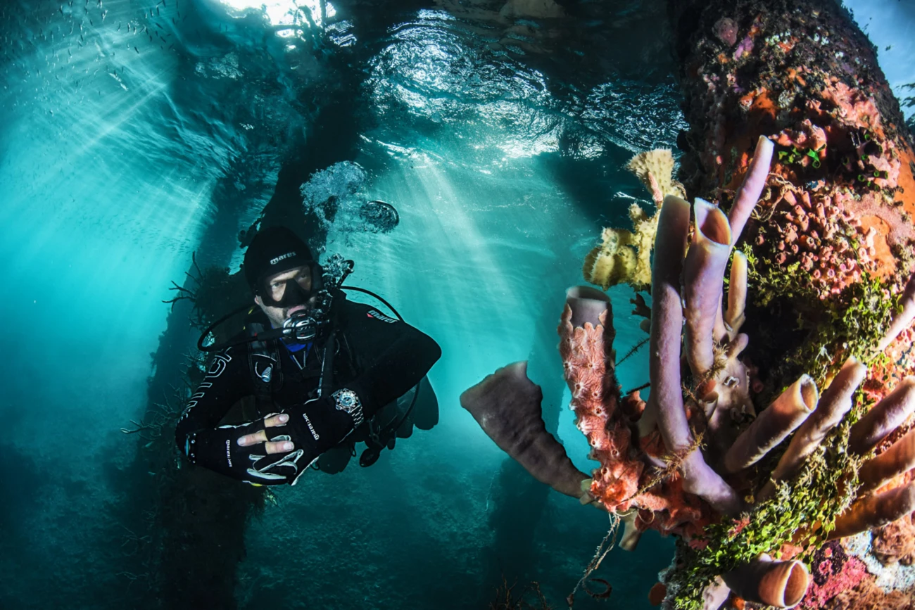 DAVOSA , Férfi, Diving család, 252824