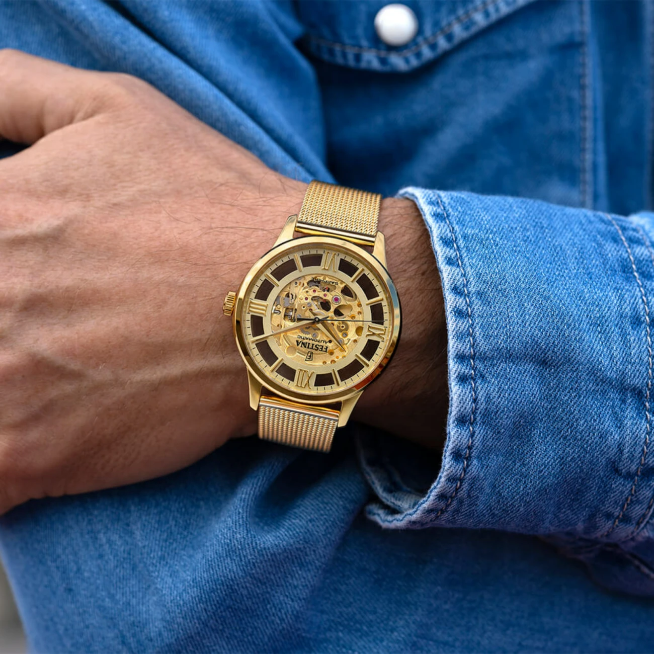 FESTINA , Férfi, Automatic család, 253016