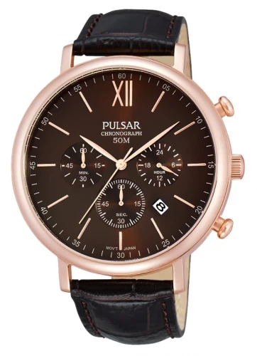 Pulsar Karóra, Férfi, Regular család, 139661
